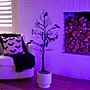 Nearly Natural Pre-Lit Artificial Halloween Black Spooky Twig Tree, 4' (T5232)~#|#~4AA2BA98-E2AB-4CAA-B5DA6F2669790602_sc7