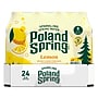 Poland Spring Lemon Sparkling Purified Water, 16.9 oz., 24/Carton (12349569/100965)~#|#~4AA5ED5E-1333-4031-A394534AF8B30C96_sc7
