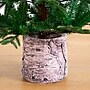 Nearly Natural 5-ft Artificial Woodland Fir Christmas Tree in Decorative Planter (T4796)~#|#~4AAC313F-DC0B-469C-9EDC6E3DD97E5212_sc7