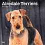 2026 BrownTrout Airedale Terriers 12" x 12" Monthly Wall Calendar (9798330702015)~#|#~4AC48243-88AB-41C1-AA6B2FE0FCB7B39F_sc7