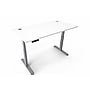 Boss Office Products 60"W Electric Rectangular Adjustable Standing Desk, White (SGSD036WT)~#|#~4AD7E5AF-E2BE-4562-B6118E966278AA56_sc7