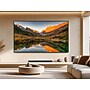 Samsung QN90F 115" Neo QLED 4K AI Enabled TV (QN115QN90FFXZA)~#|#~4ADADAD6-8F15-4C3F-BE7E401C6BFCE715_sc7