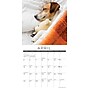 2026 Willow Creek Naptime: Dogs & Puppies on their Best Behavior 12" x 12" Monthly Wall Calendar (52099)~#|#~4AF09DFB-C0EE-4FE7-91DF5DCEB3258090_sc7