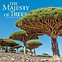 2027 BrownTrout The Majesty of Trees 12" x 12" Monthly Wall Calendar (9798330711574)~#|#~4AFE8EDB-F29F-4B23-864ED4B7AD858BD7_sc7