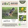 2027 TF Publishing Birds: Backyard 5.25" x 5.25" Daily Day-to-Day Calendar, Multicolored (27-3068)~#|#~4B1320BB-9890-4620-8B326952E35DB584_sc7