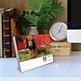 2026 Willow Creek Dachshunds 6.2" x 5.4" Day-to-Day Calendar (54093)~#|#~4B3EFAF7-6573-48EE-8FE1B8E9F0C4791E_sc7