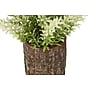 Monarch Specialties Inc. 12" Artificial Mullberry Grass Plant in Pot, 2/Set (I 9360)~#|#~4B546E49-6DCC-46F4-BBF2A513B994CFC4_sc7
