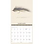 2027 Willow Creek Art of the Fly 12" x 12" Monthly Wall Calendar, Assorted Colors (58831)~#|#~4B63AF0E-26A7-4D16-8F2B47CDAD574859_sc7