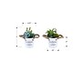 Monarch Specialties Inc. 7" Artificial Succulent Plant in Pot, 2/Set (I 9361)~#|#~4B6EF0C2-B841-40D9-96D36CCAE60F94CF_sc7