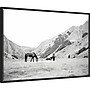 Amanti Art Moke Lake Horses IV by Laura Marshall Framed Canvas Wall Art Print, 33"W x 23"H (A42678809356)~#|#~4B8B7066-17C9-48F9-9460083174E99530_sc7