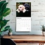 2026 BrownTrout Labrador Retriever Puppies 12" x 12" Monthly Wall Calendar (9798330704170)~#|#~4B9BFCA8-0FCA-4703-9288237FB57D33A1_sc7