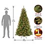 National Tree Company North Valley Spruce Artificial Christmas Trees (NRV7-301-70)~#|#~4BB0E1E4-B322-489D-AA5BFE50D9C680FB_sc7