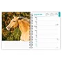 2026 BrownTrout Horse Lovers 6.5" x 7.75" Weekly Planner (9798330703692)~#|#~4BE3F12F-EF4B-4F99-93D99409ED42311C_sc7
