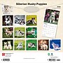2026 BrownTrout Siberian Husky Puppies 12" x 12" Monthly Wall Calendar (9798330705603)~#|#~4BEF1AA3-FFEF-400F-AF077F89C74432D3_sc7