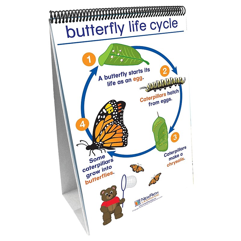 New Path Learning® All About Animals Curriculum Mastery Flip Chart Set, Early Childhood image 1