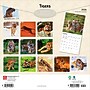 2026 BrownTrout Tigers 12" x 12" Monthly Wall Calendar (9798330705900)~#|#~4BFD2705-BE2F-4905-94E7C7D297F21F0E_sc7