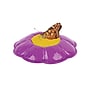 Insect Lore Products Animal Study, Live Butterfly Garden Kit (ILP1010)~#|#~4C009A2F-7BED-41A5-91AAF6170E6D2D9D_sc7
