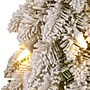 National Tree Company Snowy Downswept Forest Tree Artificial Christmas Tree (FTDF1-60ALO)~#|#~4C0A8619-72FD-410D-8CE776ED652CBC01_sc7