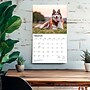 2027 BrownTrout For the Love of Siberian Huskies 14" x 12" Monthly Wall Calendar, Assorted Colors (9798330709274)~#|#~4C12C344-FE8C-43BD-9CB47BBBEBA5DCFD_sc7
