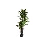 Monarch Specialties Inc. 83" Artificial Dracaena Tree in Pot (I 9595)~#|#~4C2479A5-1833-4A22-ADA24A7F32887E3F_sc7