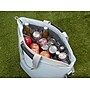 Thermos Icon 30-Can Tote Cooler, Glacier (EACI2430002GC)~#|#~4C2B37F6-05C5-4B77-811D00032DA98F0B_sc7