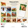 2026 BrownTrout Highland Cows 12" x 12" Monthly Wall Calendar (9798330703630)~#|#~4C2DD377-389A-4A6B-B2D74054810BD158_sc7