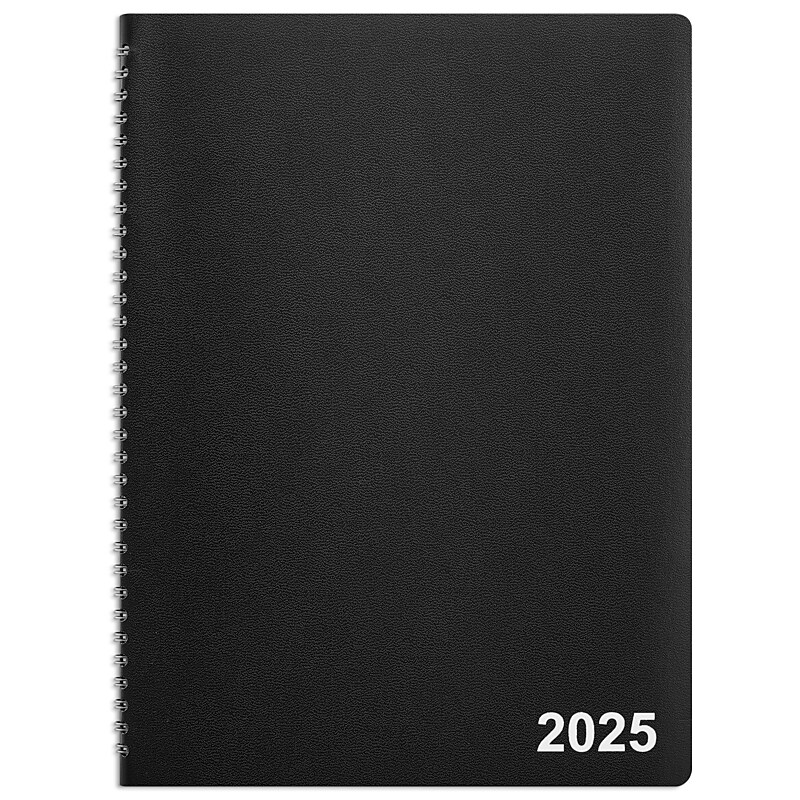 2025 Staples 8" x 11" Monthly Planner, Assorted Colors (ST12943-25) image 1