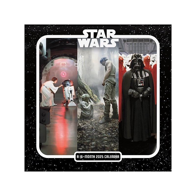 2025 DateWorks Star Wars 12" x 12" Monthly Wall Calendar (254154) image 1