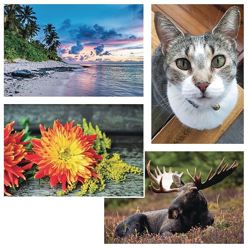 S&S 24-Piece Thera Jigsaw Foam Puzzle, 4 Puzzles/Set (19210) image 1