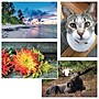 S&S 24-Piece Thera Jigsaw Foam Puzzle, 4 Puzzles/Set (19210)~#|#~4C6166F3-320B-46B3-A30AC2BEFB7F419E_sc7