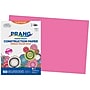 Prang 12" x 18" Construction Paper, Hot Pink, 50 Sheets/Pack, 5 Packs/Bundle (PAC9107-5)~#|#~4C9232D2-7CCF-46D7-AAC505F1D73181E4_sc7