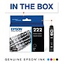 Epson 222 Black Standard Yield Ink Cartridge (T222120-S)~#|#~4CABD2B0-85B0-4E8C-B7631418D99AF697_sc7