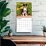 2026 BrownTrout I Love Puppies 12" x 12" Monthly Wall Calendar (9798330705283)~#|#~4CB32B4C-DAD6-42A8-A40FAB2C5334CC42_sc7