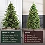 Fraser Hill Farm 7.5' Foxtail Pine Artificial Christmas Tree, 900 Lights (FFFX075-6GREZ)~#|#~4CE0EE8B-065F-46AC-AF1EA0C02E9B7586_sc7