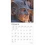 2025 BrownTrout Ancient Egypt 12" x 24" Monthly Square Wall Calendar, (9781975478032)~#|#~4CF2B230-AFA2-4E83-93DDDE4DB727F8C1_sc7