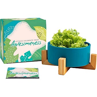 Baudville Haven Plant Set, Blue (92712)