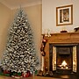 National Tree Company Dunhill Fir Artificial Christmas Tree (DUBH3-75LO-S6)~#|#~4D15C640-A77E-4D43-9E0869F289FC3885_sc7