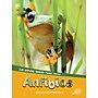 Carson-Dellosa Discovery Library Anfibios, Hardcover (CD-9781731654564)~#|#~4D21890E-C5FC-47F3-8C1B93D93161579B_sc7