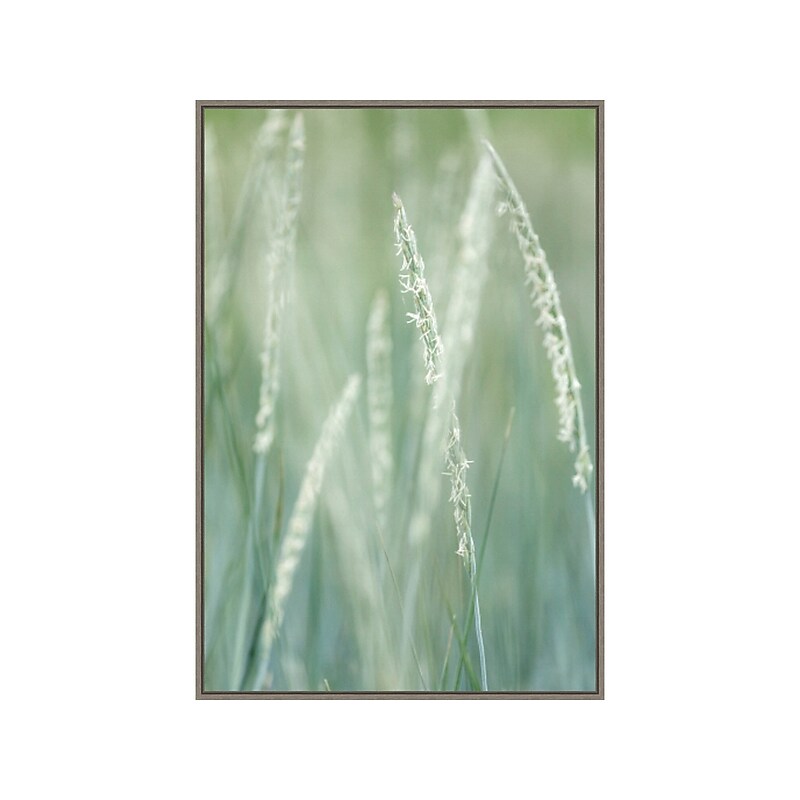 Amanti Art Abstract Grass, Canvas, 23" x 33" (A42675515543) image 1