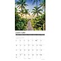 2027 Willow Creek Pathways 12" x 12" Monthly Wall Calendar, Assorted Colors (61749)~#|#~4D532062-10F7-429E-9FC882DA74F3540A_sc7