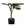 Monarch Specialties Inc. Fiddle in Pot (I 9541)~#|#~4D575D73-E804-41B1-ADADED8218AD7843_sc7