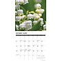 2026 Willow Creek Flowers 12" x 12" Monthly Wall Calendar (51139X)~#|#~4D5E88C3-FFF3-473D-84D6C238AA9B4749_sc7