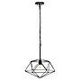 Lalia Home 1 Light 16" Metal Wire Paragon Hanging Ceiling LED Pendant Fixture, Black (LHP-3003-BK)~#|#~4D6D2859-9F23-4825-AB754DD88928102F_sc7