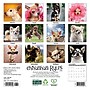 2026 Willow Creek Chihuahua Rules 7" x 7" Monthly Wall Calendar (53508)~#|#~4D6DA7B0-29B3-4CB4-9B880CC1E78CCBA3_sc7