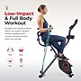 Sunny Health & Fitness Full Body Foldable Magnetic X-Bike Pro, Black (SF-B223012)~#|#~4D88F084-840B-4F03-A549C45BC35ED430_sc7