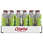 Ozarka Sparkling Water, Zesty Lime, 16.9 oz. Bottles, 24/Carton (12349550)~#|#~4D906A3C-7173-4C94-AFDA416DD4123CA8_sc7
