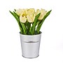 National Tree Company 9" Light Yellow Tulip Bouquet (MT81-30TU25PLYW)~#|#~4D92D373-1AFA-480B-82C96E261867471F_sc7