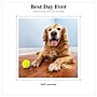 2027 TF Publishing Best Day Ever: Dogs 12" x 12" Monthly Wall Calendar (27-1001)~#|#~4D9CFC12-26FE-47A4-B5CE51C63E79A261_sc7