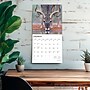 2026 BrownTrout White Tailed Deer 12" x 12" Monthly Wall Calendar (9798330706334)~#|#~4D9F8652-F042-4529-AE165A77089B3F05_sc7