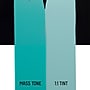 Liquitex LX ACRYLIC Acrylic Paint, Light Phthalocyanine Green, 59 ml. (LIQ8870378)~#|#~4DB9B958-189E-450C-8216B1506FA4CB79_sc7